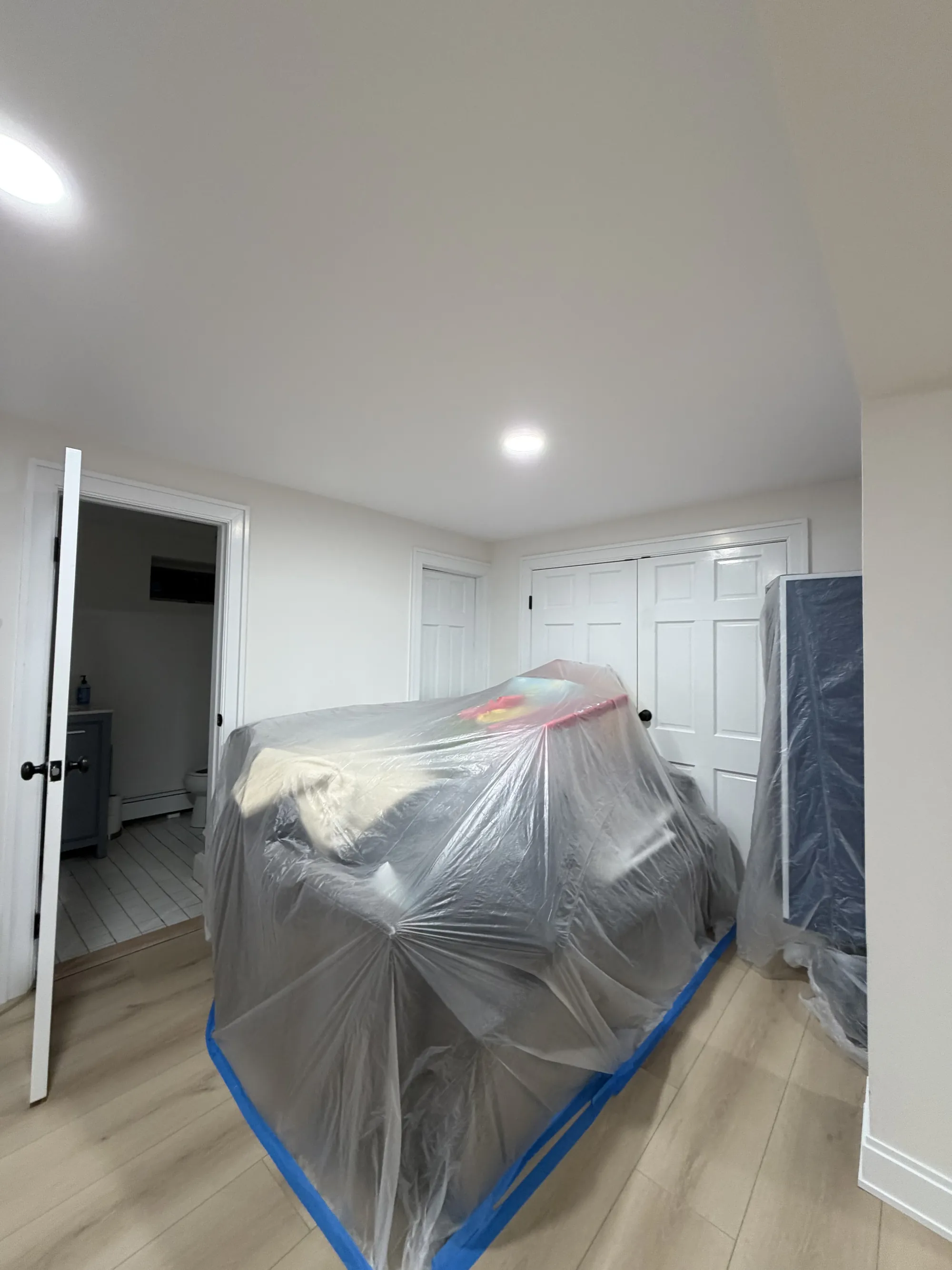 Mold remediation containment setup NYC